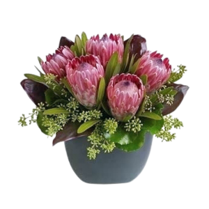 Protea arrangement