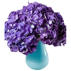 Purple Hydrangea arrangement * (PREORDER 1 Week)