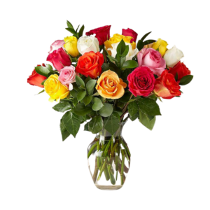 Rainbow Rose Special Fair Trade Roses