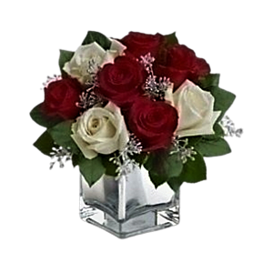 Red and White Rose Cube