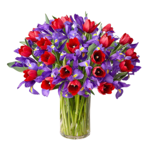 Blue Iris and Red Tulips start at 10 stem