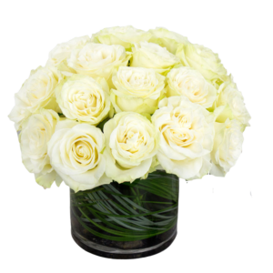 24 Premium Rose Cylinder Select Color