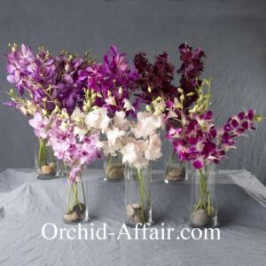Orchid Flower arrangement of the month club. 3, 6 or 12 months
