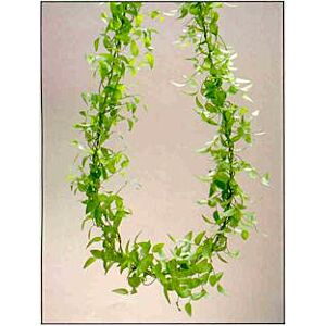 Green Smilax Garland 3 feet