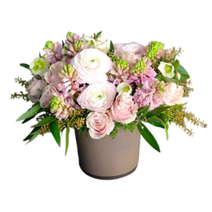 Valentine Roses in Spring