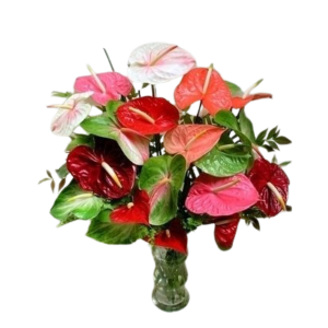 Anthurium arrangement, start at 5 stem arrangment
