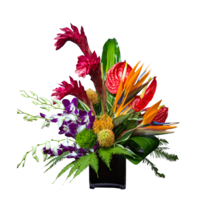 Large Tropical arrangement