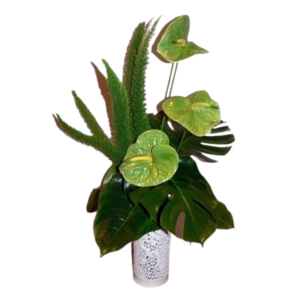 Green & Tropical arrangment