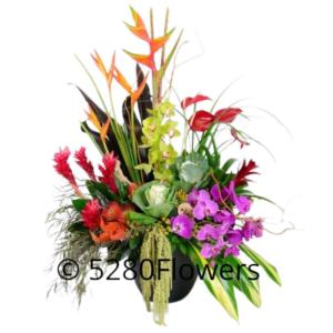 Super Large Tropical arrangement