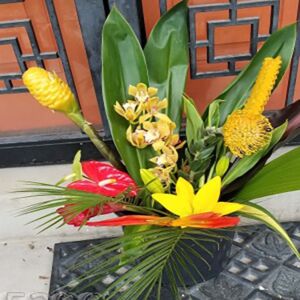 Create your own Tropical Fair trade Flower Bucket 4 deliveries