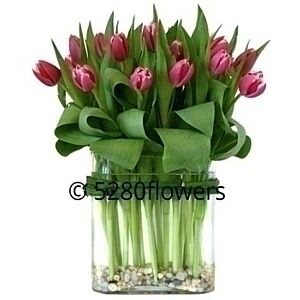 20 Local Tulips with River Rock