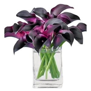 Schwartzwald Calla arrangement