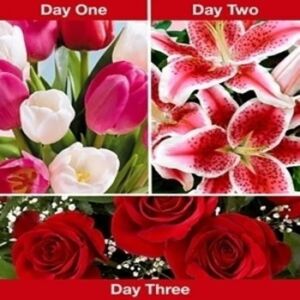 3 days of valentine (pick what gets send first)