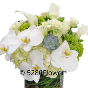 White Flower arrangement