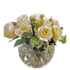 White Rose Bowl Fair trade Garden Roses