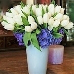 White tulips and blue Hydrangea
