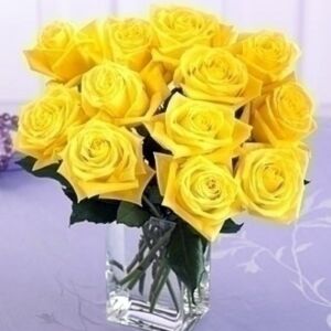 Yellow rose arrangement with fillers and greens, Fair Trade Roses