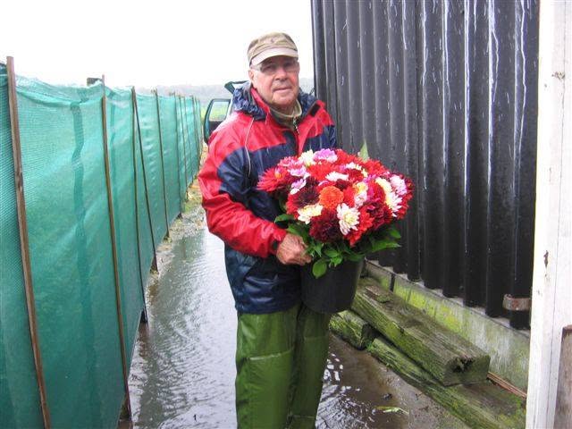 Nicolaas Kops holding a bucket of homegrown dahlias in Hillegom, Holland